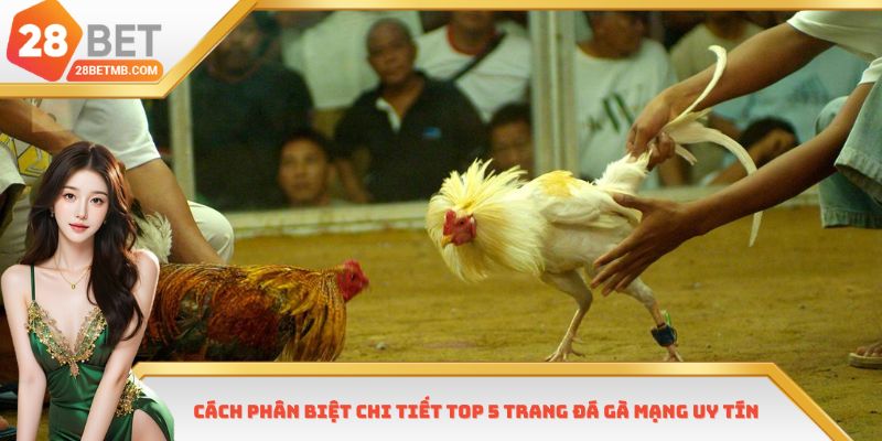 Cách phân biệt chi tiết Top 5 trang đá gà mạng uy tín