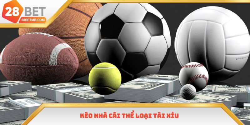 Tài Xỉu được nhận xét dễ chơi dễ thắng