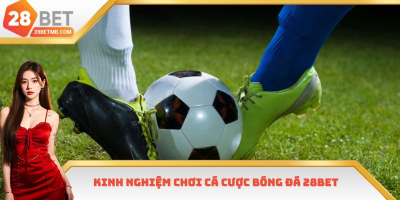 Kinh nghiệm chơi cá cược bóng đá 28bet