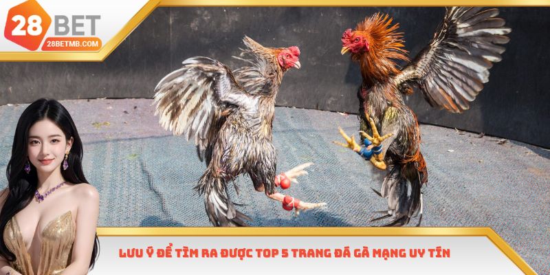 Lưu ý để tìm ra được Top 5 trang đá gà mạng uy tín