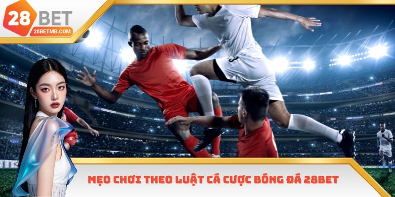 Mẹo chơi theo luật cá cược bóng đá 28bet