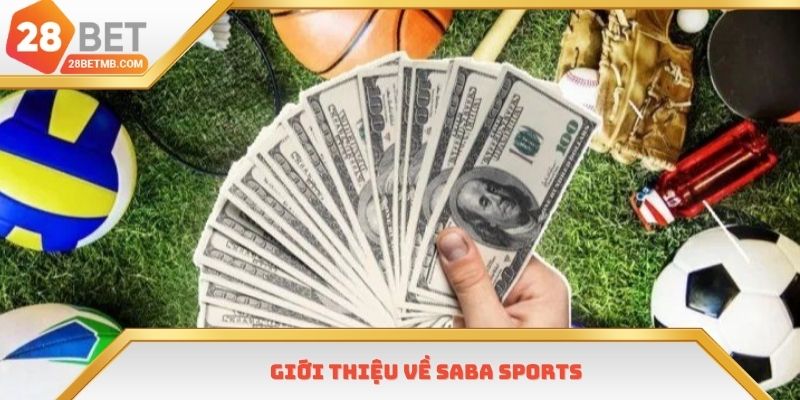 Giới thiệu đối tác uy tín Saba Sports