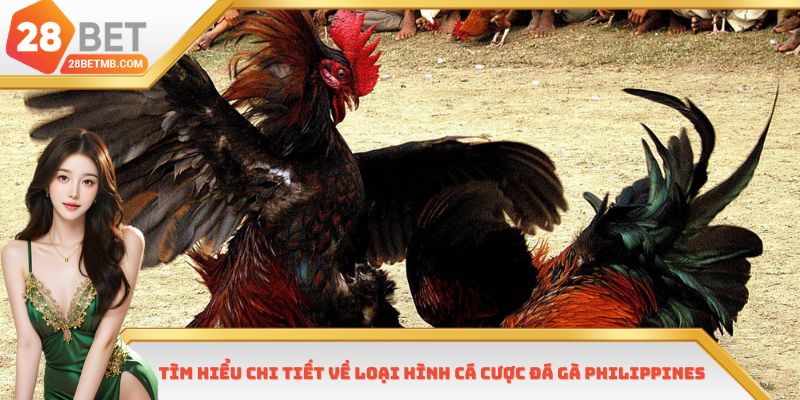 Tìm hiểu chi tiết về loại hình cá cược đá gà Philippines