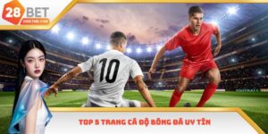 Top 5 Trang Cá Độ Bóng Đá Uy Tín, Chất Lượng Nhất 2025