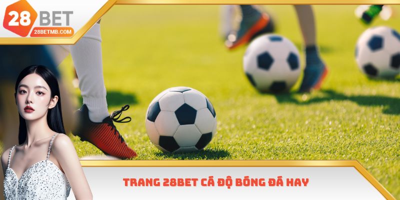 Trang 28bet cá độ bóng đá hay