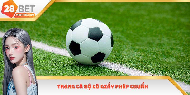 Trang cá độ có giấy phép chuẩn